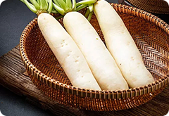 白萝卜覆膜