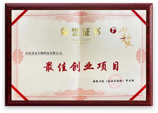 集团荣誉