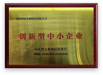 集团荣誉
