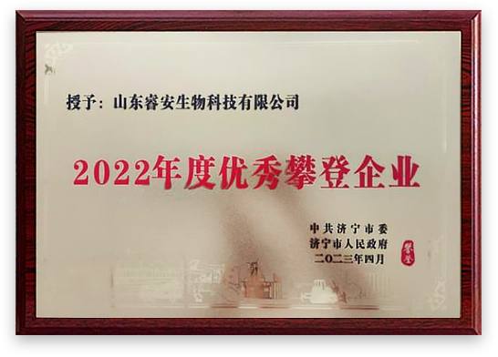 集团荣誉