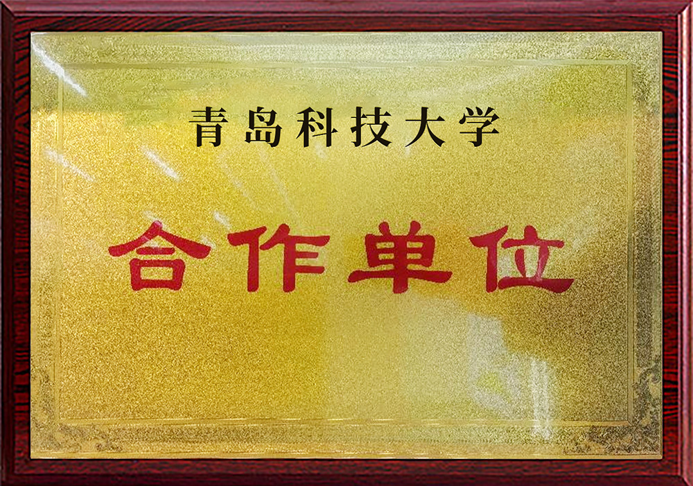 青岛科技大学合作单位