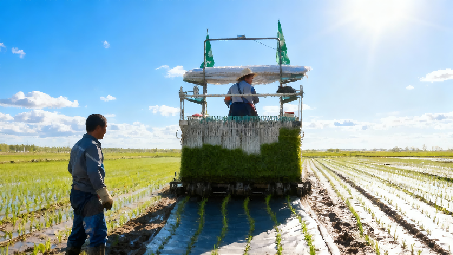 本地化种植服务