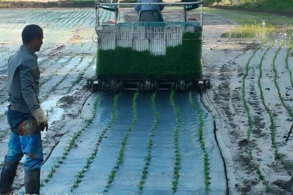 如何分辨真假生物降解地膜？别只看&ldquo;写了什么&rdquo;