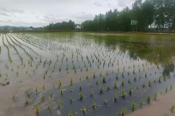 &ldquo;氧化降解&rdquo;和&ldquo;生物降解&rdquo;是一回事吗？很多人其实被混淆了